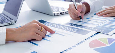 Conseil en gestion et développement